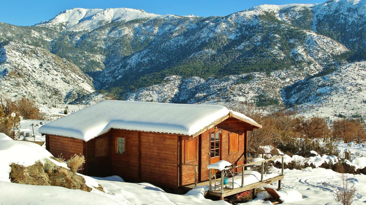 Les Chalets De Lozzi カラキュクシア エクステリア 写真